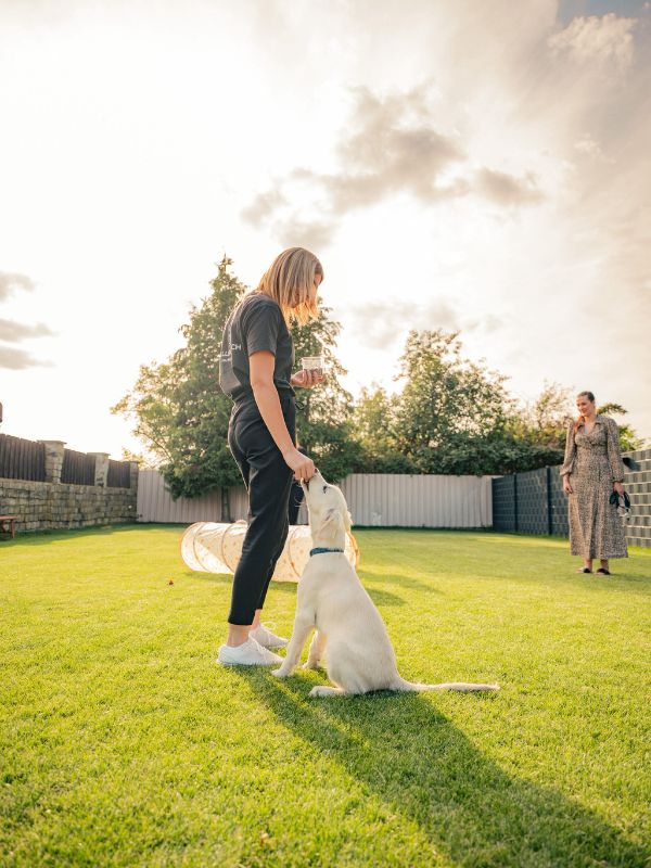 Hundeschule Fellnasen und Ich