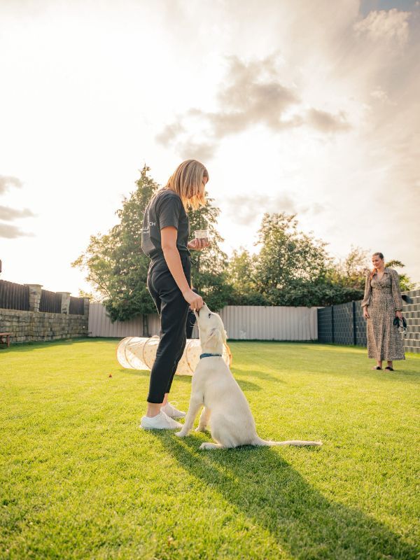 Hundeschule Fellnasen und Ich